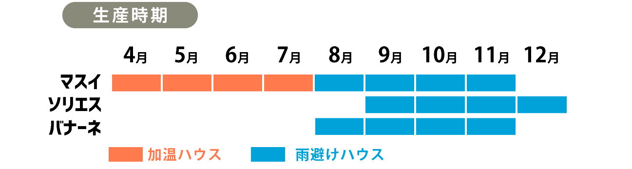 生産時期